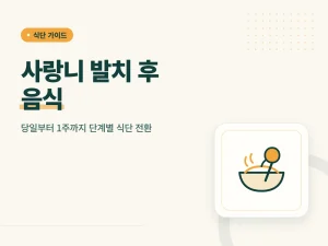 사랑니 발치 후 음식 식단 가이드 썸네일